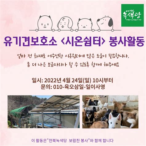 대전 유기견 보호소